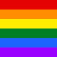 Gay and LGBT rainbow flag N6