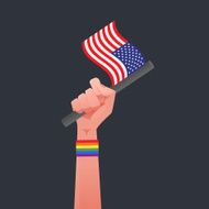 USA Flag &amp; Sexuality symbol N6