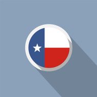 Texas State Flag N18
