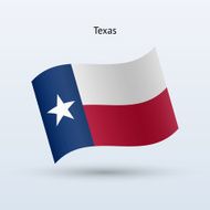 State of Texas Flag N3