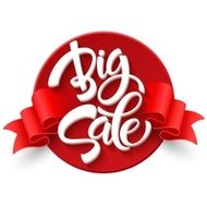 Big Sale Inscription Calligraphy Lettering Vector illustration