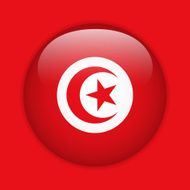 Tunisia Flag Glossy Button
