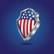 United States Flag Shield