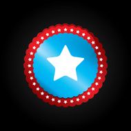 AMERICAN BAGDE AND FLAG N11