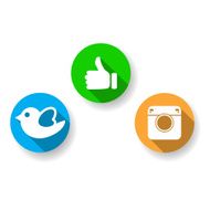 Photos bird thumbs up icon vector N2