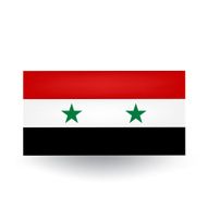 flag of Syria N13