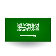 Flag of Saudi Arabia N15