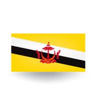 Flag of Brunei N11