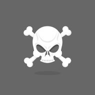 Jolly Roger Skull and bones pirate vector flag