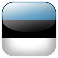 Estonia national flag square button isolated on white background