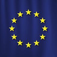 EU Flag N8