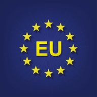 EU Flag N12