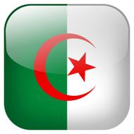 Algeria national flag square button isolated on white background