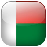 Madagascar national flag square button isolated on white background