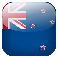 New Zealand national flag square button isolated on white background