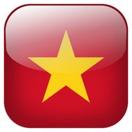 Vietnam national flag square button isolated on white background