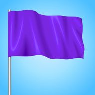 Flag Vector illustration N9