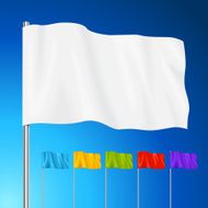 Flag Vector illustration N10