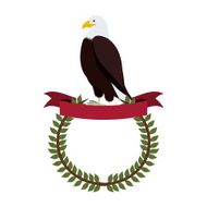 Usa Design N207