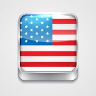 flag of united state