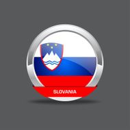 Slovania Flag Vector Icon