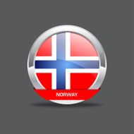 Norway Flag Vector Icon