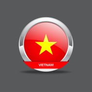 Vietnam Flag Vector Icon