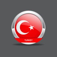 Turkey Flag Vector Icon