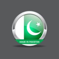 Pakistan Flag Vector Icon