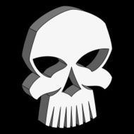 vector skull N3