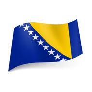 State flag of Bosnia and Herzegovina