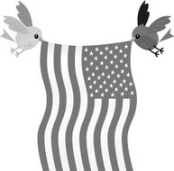 Birds U S Flag