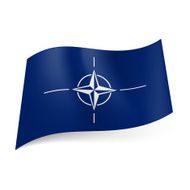 Flag of NATO N5