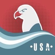 Usa Design N218