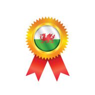 Wales medal flag