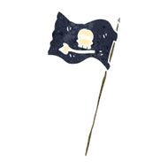 retro cartoon pirate flag N3