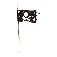 retro cartoon pirate flag N4