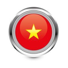Vietnam Flag Icon N4