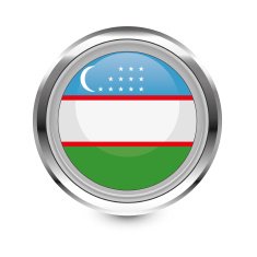 Uzbekistan flag icon