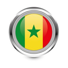Senegal flag icon
