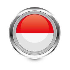 Monaco Flag icon N4