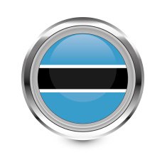 Botswana Flag Icon N3