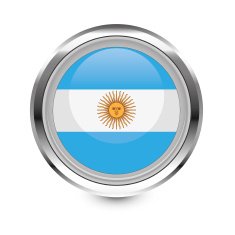 Argentina flag icon