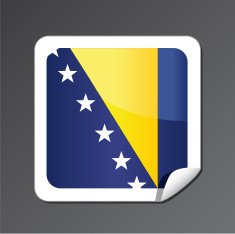Bosnia flag icon
