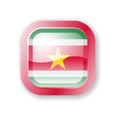 Suriname Flag Icon