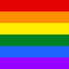 Gay and LGBT rainbow flag N6