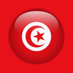 Tunisia Flag Glossy Button