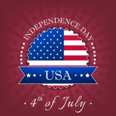 Independence day vector background N2