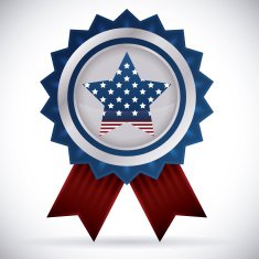 Independence day design N6