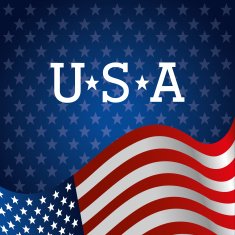 USA design vector illustration N21